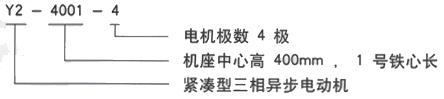 YR系列(H355-1000)高压YJTGKK4503-6三相异步电机西安西玛电机型号说明